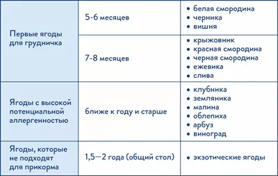 Пищевая аллергия - советы аллерголога клиники Daily Medical в  Днепропетровске