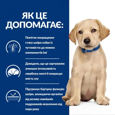 Корм для собак Happy Dog Montana Mini (конина) - «Для собак с аллергией на  курицу и ее производные, и тех кому нужен легкий корм» | отзывы