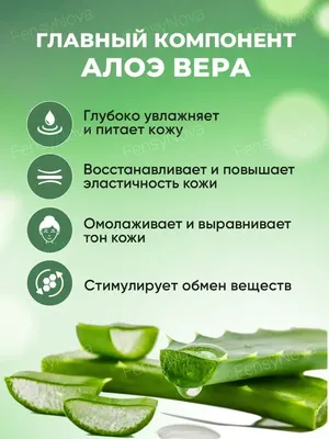 Купить советы по уходу за алоэ вера барбаденсис - Растения от STEKJESBREF.NL