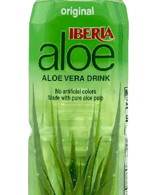 Aloe vera Succulents - Indoor Plants Purify Your Air| Hortology