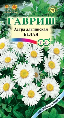 Персидская ромашка Робинзон , смесь – купить в Алматы по цене тенге –  интернет-магазин Леруа Мерлен Казахстан