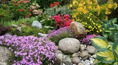 PLANTS - Создание альпийской горки в Алматы возведение альпинария в  Казахстане ландшафтный дизайн благоустройство территории