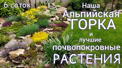 Как сделать альпийскую горку своими руками: пошаговая инструкция | Магазин  Постоянных Распродаж