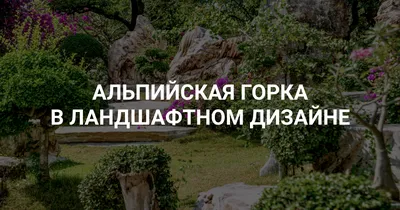 Альпийская горка – как сделать альпийскую горку от компании Life Garden