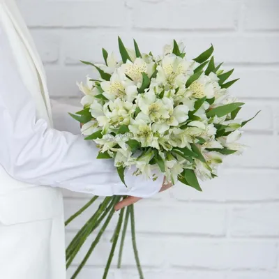 White Alstroemeria Flower | DIY Wedding Flowers | Flower Moxie