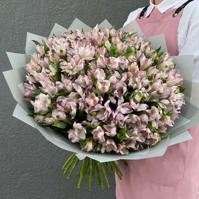 Купить Альстромерия «Розовая» из каталога Цветы в Сыктывкаре - «Флориска».