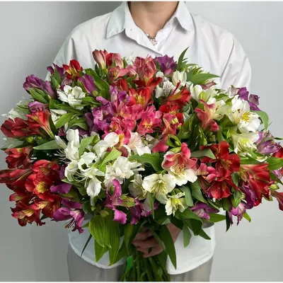 Букет Альстромерия XL (43 ветки) купить в Новосибирске | «Первый цветочный  Новосибирск»