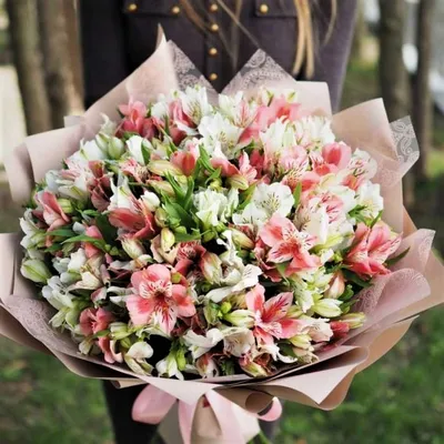 Купить цветы Альстромерия №125 - 🌹 Цветы Новосибирск заказ: