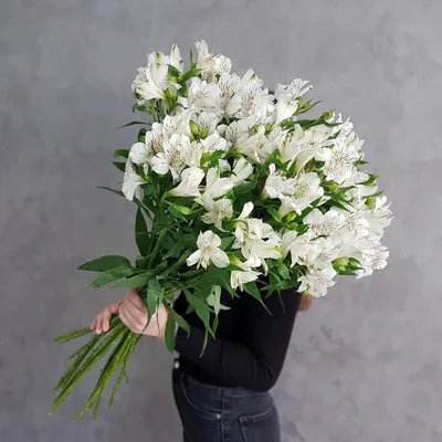 Букет цветов из 21 альстромерии с бесплатной доставкой на дом из «ВкусВилл»  | Санкт-Петербург