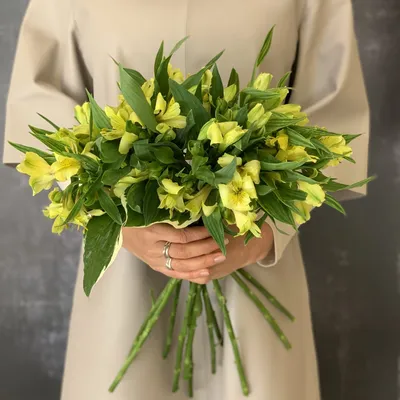 Bright Yellow Alstroemeria Flower | DIY Wedding Flowers | FiftyFlowers |  Alstroemeria, Pink gerbera, Gerbera daisy