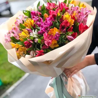 Букет из Альстромерия микс, 25 шт. купить с доставкой | Flowers Valley