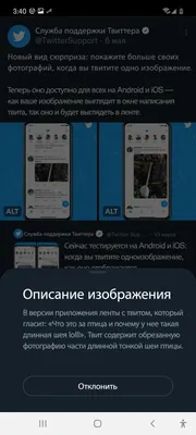 Как использовать значок ALT и отметку GIF | Справка X