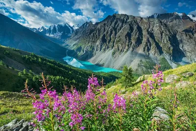 Горный Алтай - горная магия России: природа, культура и спорт на высоте |  Независимый оптимист | Дзен