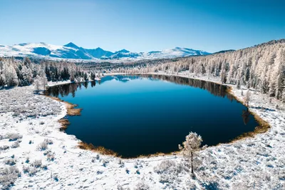 Природа Алтая, Россия