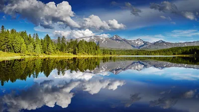 Уникальная природа Алтая | Altai Travel Guide