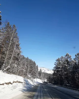 Приглашаем на необыкновенный отдых зимой на Алтае