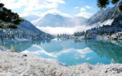 Алтай зимой | Altai Travel Guide