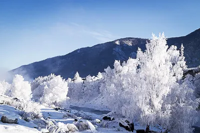 Алтай в январе | Altai Travel Guide