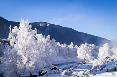 Отдых на Алтае зимой 2019-2020|АлтайБрэнд