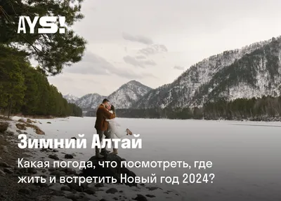 Отдых в Горном Алтае зимой в глэмпинге Чепош Парк — официальный сайт отеля