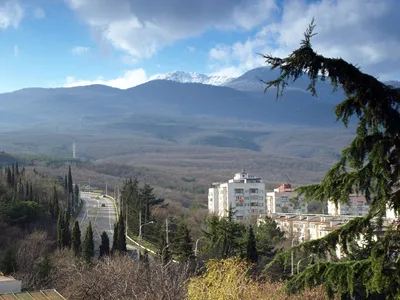 На ветру... Алушта, Крым, зима 2007