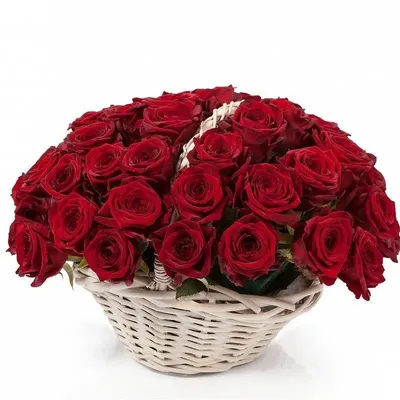 Алые розы (80 см) по цене 562 ₽ - купить в RoseMarkt с доставкой по  Санкт-Петербургу