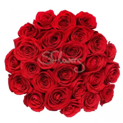 Букет «Первоклассные алые розы» купить. Розы красные С доставкой по всей  России!