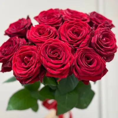 Роуз Розовый Алые Розы Оранжевая - Бесплатное фото на Pixabay - Pixabay