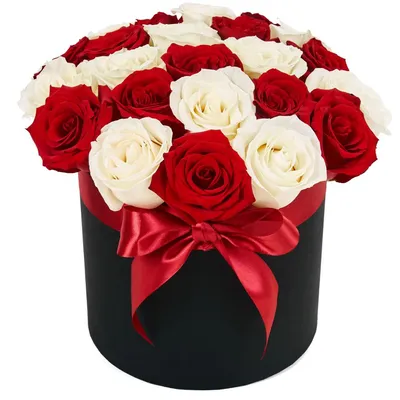 Алые розы (60 см) по цене 295 ₽ - купить в RoseMarkt с доставкой по  Санкт-Петербургу