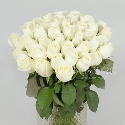 Букет «Алые розы 60 см» - заказать и купить за 1 800 ₽ с доставкой в  Смоленске - партнер «Clumba Smol»
