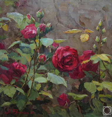 Красно-белые розы в букете от 9 шт. за 3 990 руб. | Бесплатная доставка  цветов по Москве