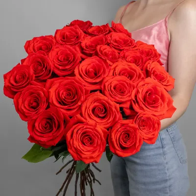 Розы алые 70 см премиум (Эквадор) доставка в Самаре | Самарский букет