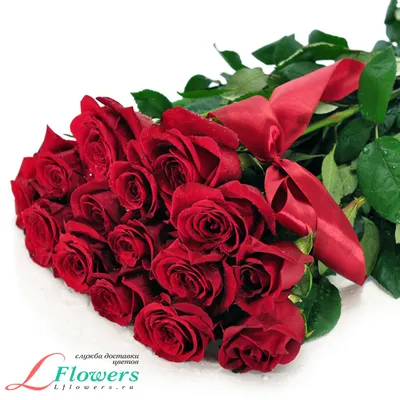 Заказать Алые Розы за 1050 руб. в городе Кемерово - «Город цветов»