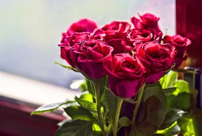 Фотообои Розы \"Алые розы в брызгах воды\" - арт 0120015040 | Купить в  интернет-магазине Фото в дом