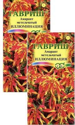 Гавриш Деревья, кустарники, цветы - купить по выгодным ценам в  интернет-магазине OZON (1032145642)
