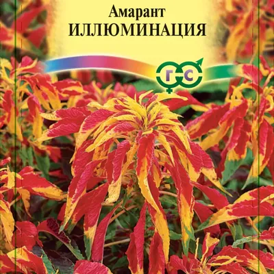 Семена Амарант трёхцветный Иллюминация по цене 33 ₽/шт. купить в Кемерове в  интернет-магазине Леруа Мерлен