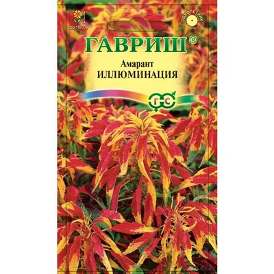 Семена Цветы, Амарант, Иллюминация трехцветный, 0.1 г, цветная упаковка,  Гавриш в Шахтах: цены, фото, отзывы - купить в интернет-магазине Порядок.ру