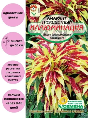Сибирские сортовые семена Амарант Иллюминация трехцветный