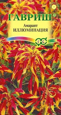 Семена Амарант Иллюминация 0,1г, РФ 2024 купить по цене 1.09 р. - 11  магазинов в Минске