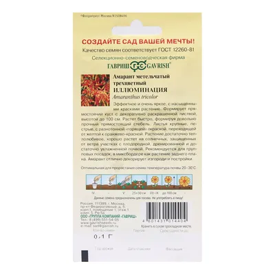 Амарант иллюминация