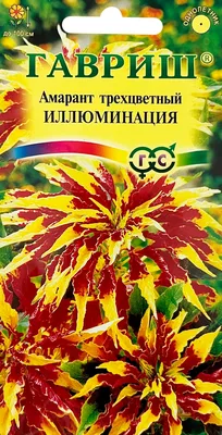 Гавриш Амарант Иллюминация — купить по низкой цене на Яндекс Маркете