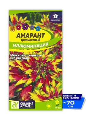 Семена Алтая Семена однолетних цветов Амарант Иллюминация для сада и дачи