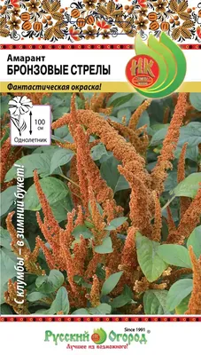 Амарант — Википедия
