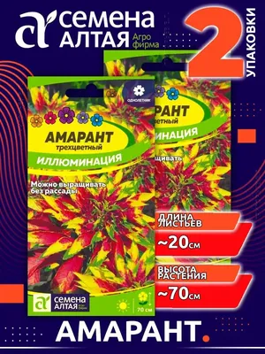 Семена Амарант Бронзовые стрелы - купить по выгодной цене | Урожайка