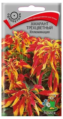 Амаранты Амарант Иллюминация трехцветный, 0,1 г - купить по выгодным ценам  в интернет-магазине OZON (892309478)
