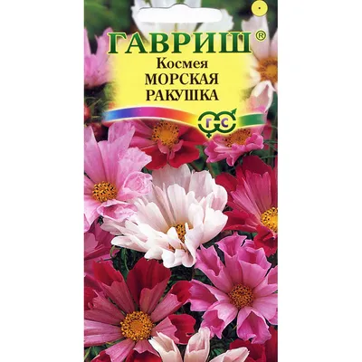 Комплект семян Амарант трехцветный Иллюминация однолет. х 3 шт. — купить в  интернет-магазине по низкой цене на Яндекс Маркете