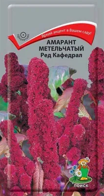 Отзыв о Семена \"Гавриш\" Амарант Иллюминация | Фейерверк цвета!