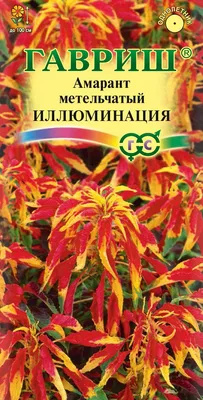 Семена Амарант Иллюминация, 0,1г, Гавриш, Цветочная коллекция по цене 36  руб. Большой выбор Купить по всей России Интернет-магазин Гавриш  8-495-902-77-18