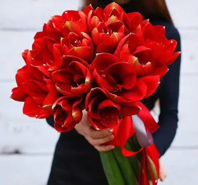 Купить букет красный амариллис роз 2900 р. в интернет магазине Модный букет  с доставкой по Москве