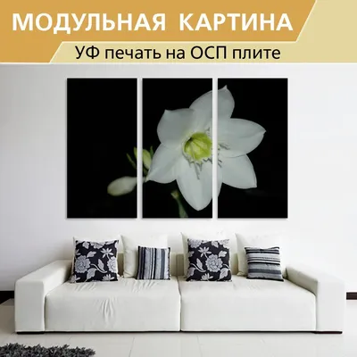 Гребень Амазонская лилия №435276 - купить в Украине на Crafta.ua